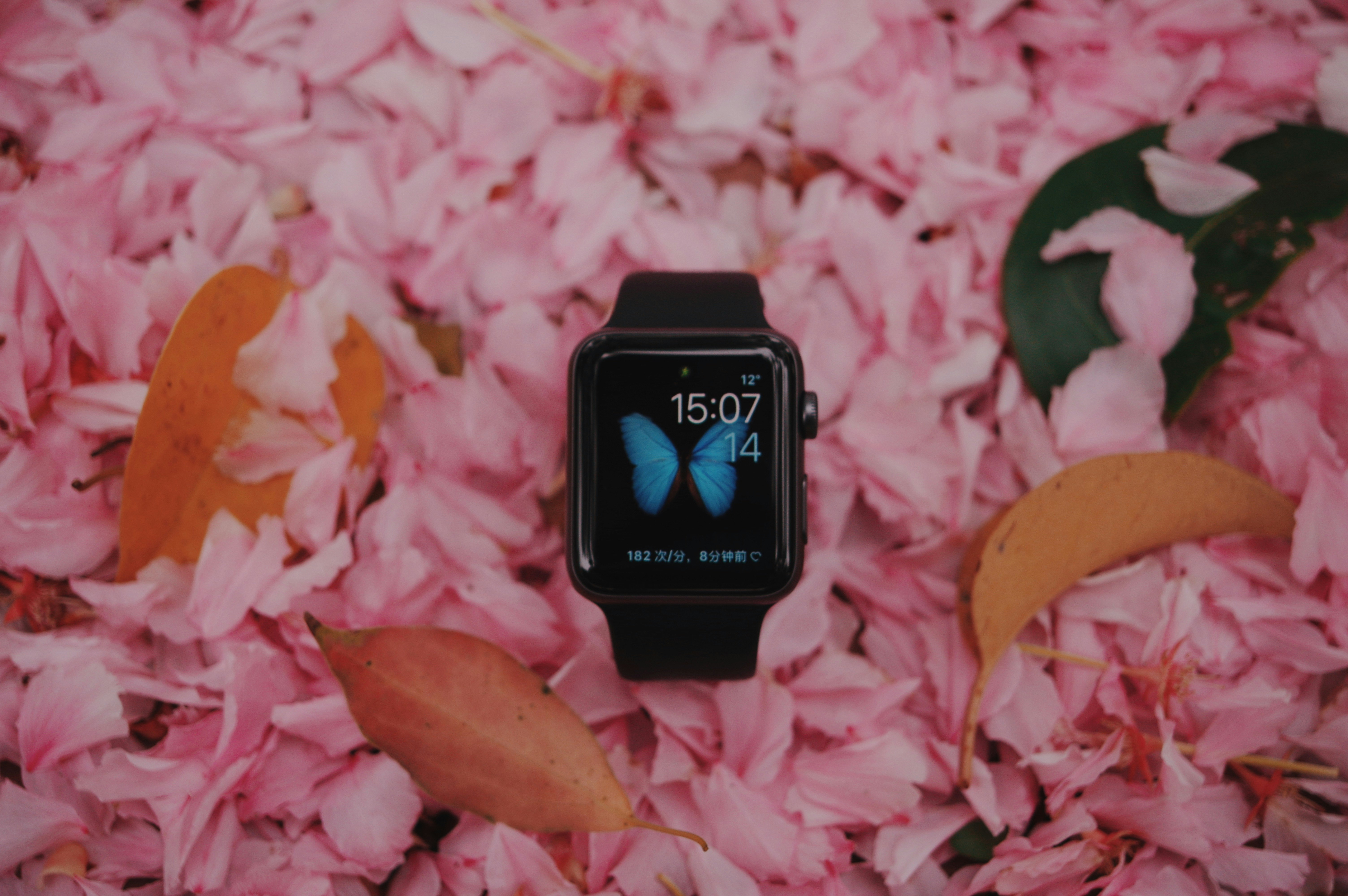 space black aluminum case Apple Watch with black Sport Band on pink petals